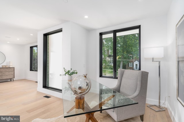 interior space featuring a healthy amount of sunlight and light wood-type flooring