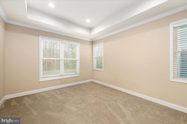 spare room with a wealth of natural light, crown molding, and light carpet