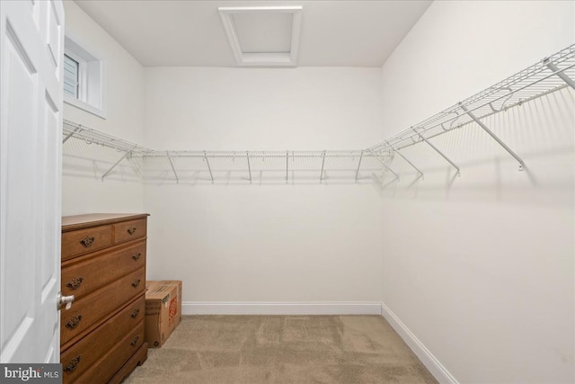 walk in closet with light carpet