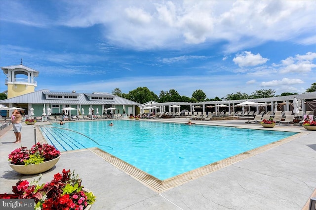 view of swimming pool with a patio area