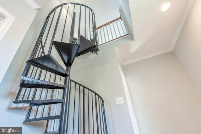 stairs featuring ornamental molding