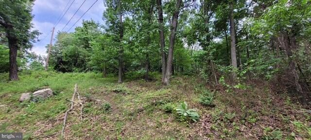 Kits Ct, Front Royal, VA 22630