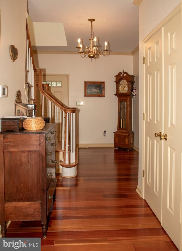 hallway featuring dark hardwood / wood-style floors, ornamental molding, and a notable chandelier