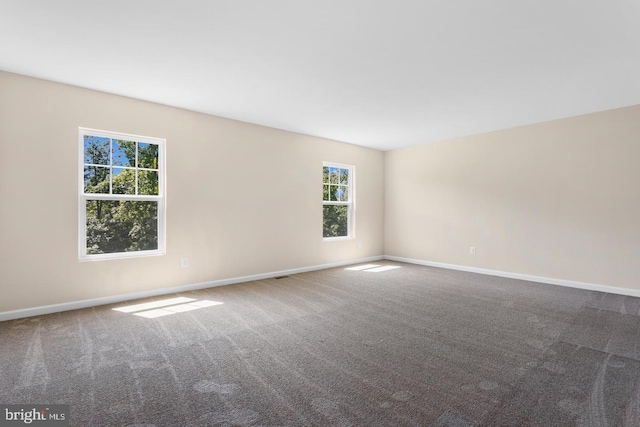 unfurnished room with carpet