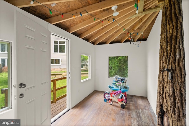 entryway featuring lofted ceiling and wood finished floors