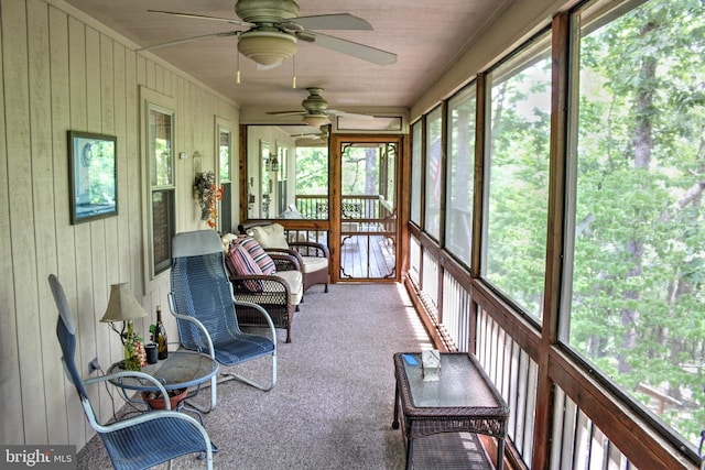 sunroom featuring ceiling fan and a healthy amount of sunlight