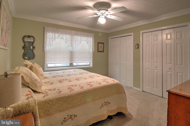 carpeted bedroom featuring multiple closets, ceiling fan, and crown molding