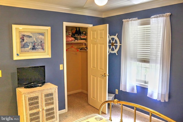 bedroom with ornamental molding, light colored carpet, ceiling fan, a spacious closet, and a closet