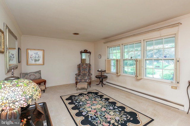 bedroom with ornamental molding, carpet flooring, and a baseboard heating unit