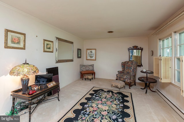 sitting room featuring light carpet, crown molding, and baseboard heating