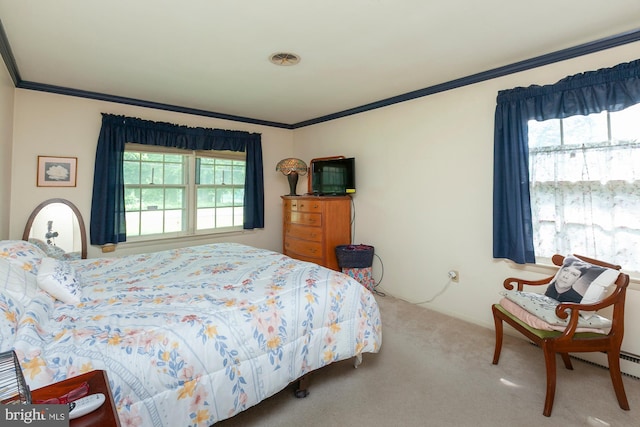 bedroom with crown molding and carpet flooring