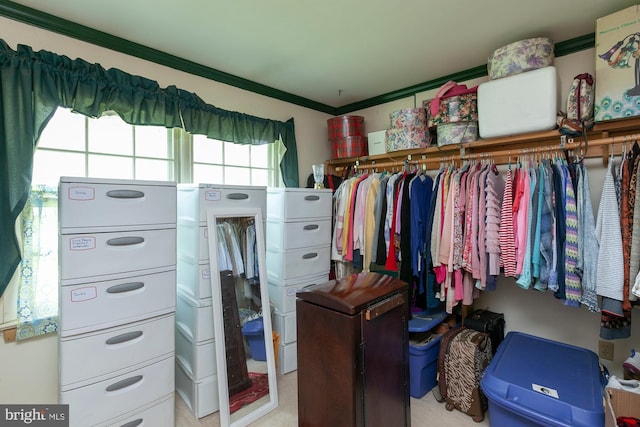 view of spacious closet