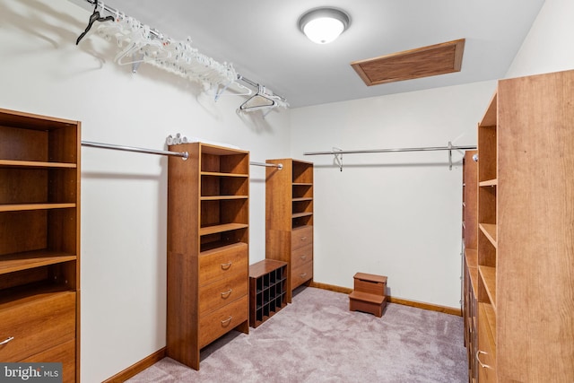 spacious closet with visible vents, attic access, and carpet flooring