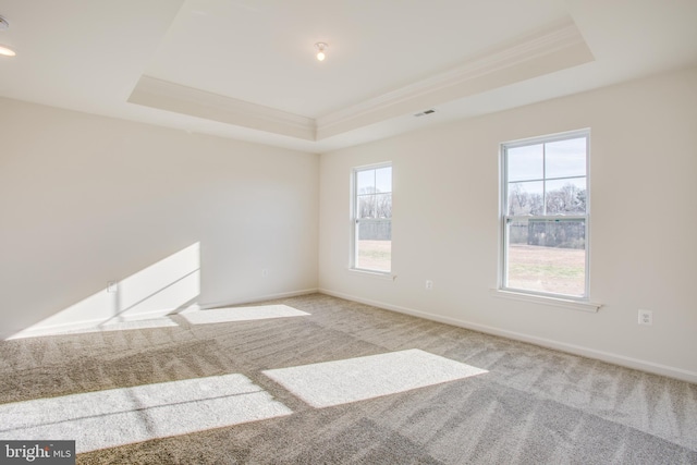 carpeted spare room with crown molding and a tray ceiling