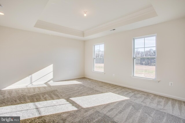 2107 Warrenton Rd, Fredericksburg, VA 22406 - unfurnished room with a tray ceiling, ornamental molding, carpet flooring, and baseboards