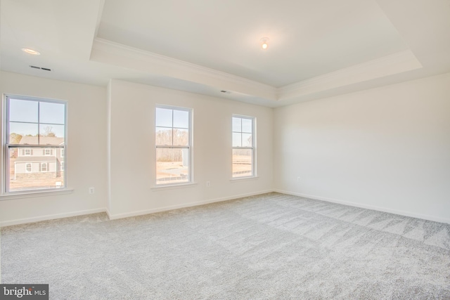 spare room with light colored carpet, crown molding, and a tray ceiling