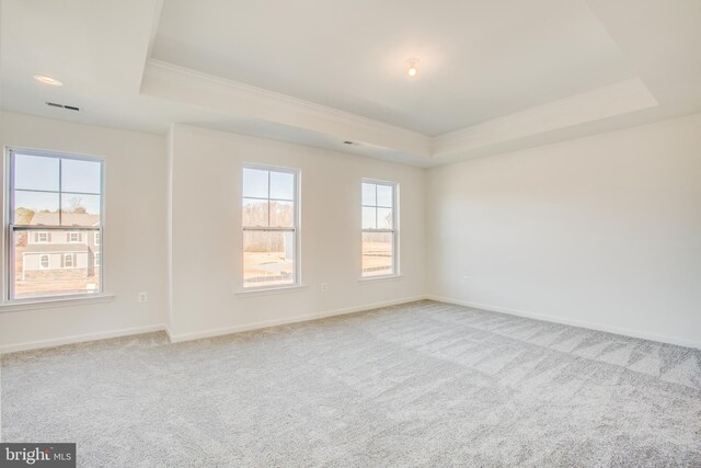 2107 Warrenton Rd, Fredericksburg, VA 22406 - empty room with a raised ceiling, ornamental molding, light carpet, and baseboards