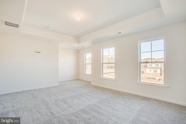 carpeted empty room featuring crown molding and a tray ceiling