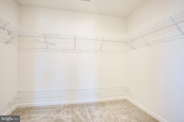 2107 Warrenton Rd, Fredericksburg, VA 22406 - walk in closet with carpet