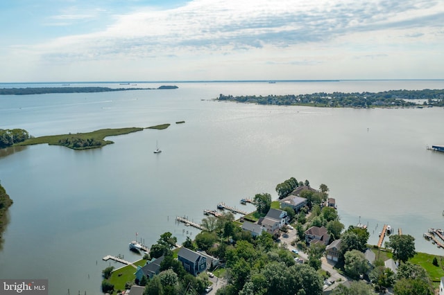 bird's eye view with a water view and a view of trees