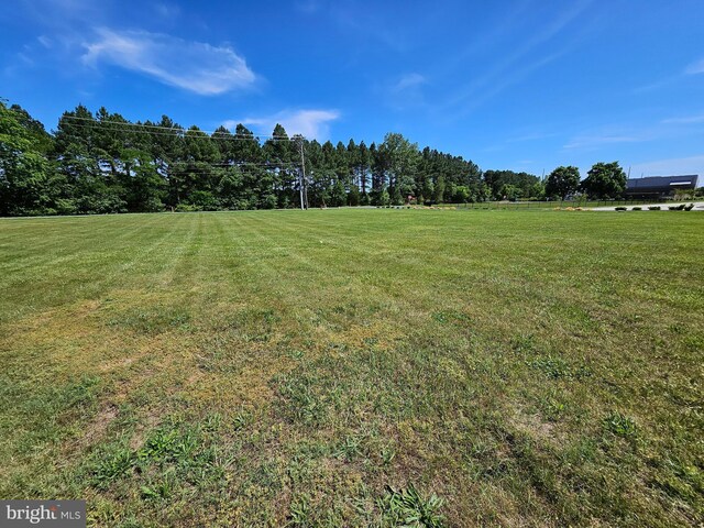 Woods Rd, Cambridge, MD 21613