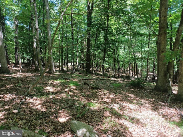 LOT40 Wild Apple Ln, Paw Paw WV, 25434 land for sale