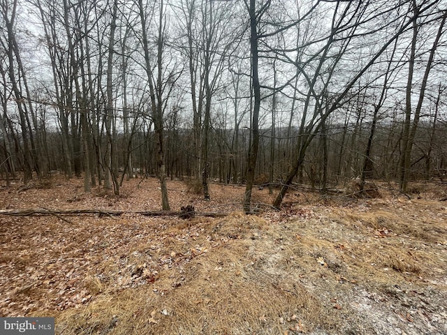 Listing photo 3 for LOT40 Wild Apple Ln, Paw Paw WV 25434