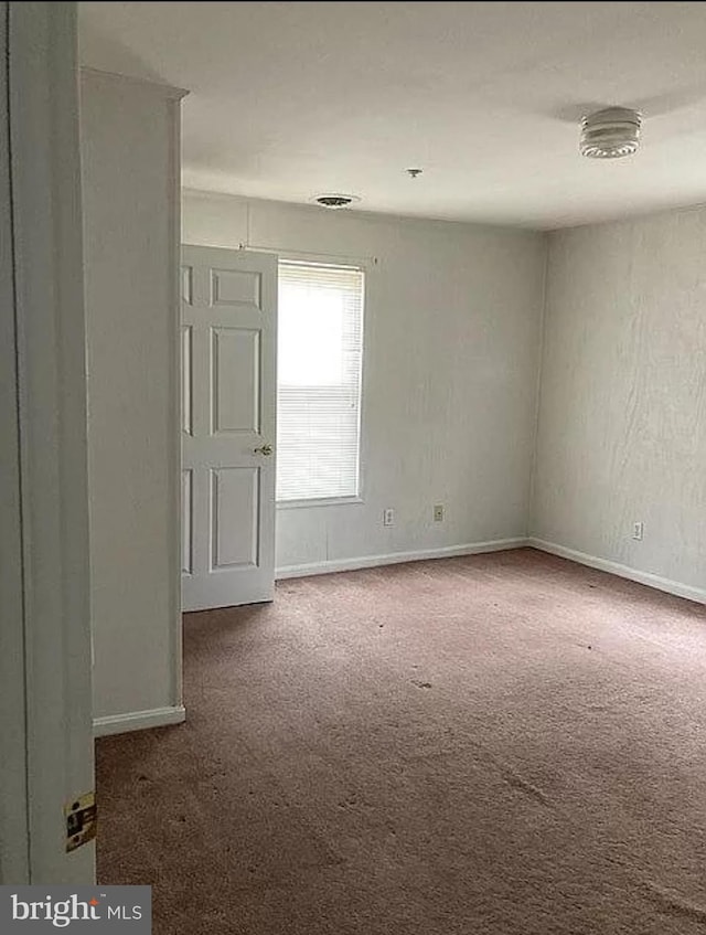 spare room with carpet flooring