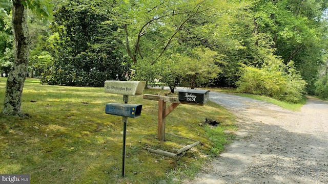 view of community featuring a yard