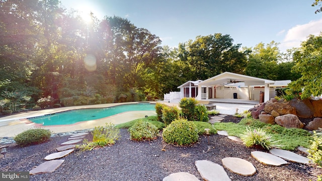 view of swimming pool featuring a patio