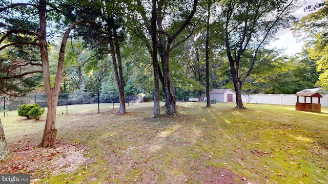 view of yard featuring a storage shed