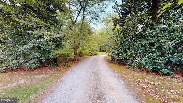 view of road