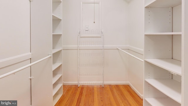 spacious closet with light wood-type flooring