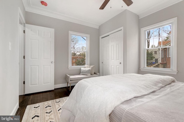 bedroom with multiple windows, ceiling fan, a closet, and dark hardwood / wood-style floors