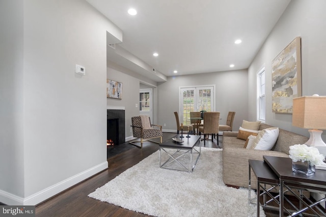 living room featuring dark hardwood / wood-style flooring