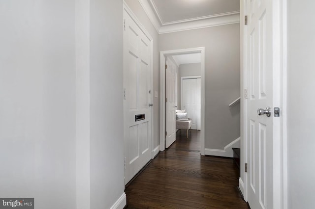 hall with dark wood-type flooring and ornamental molding