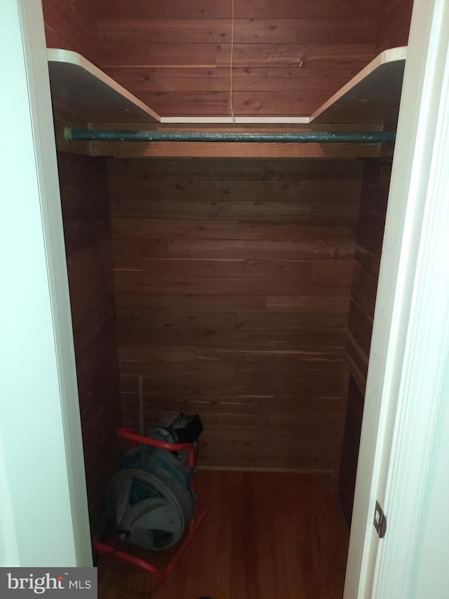 walk in closet featuring dark hardwood / wood-style floors