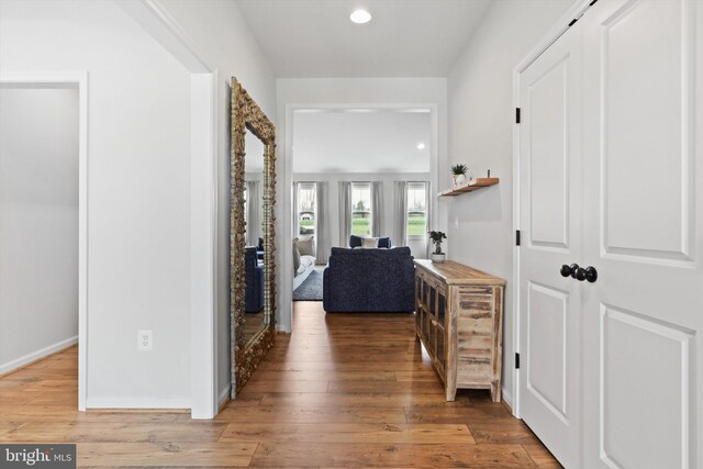 hall featuring wood-type flooring