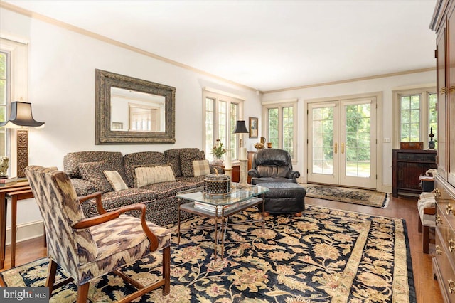 living room with french doors, ornamental molding, and hardwood / wood-style flooring