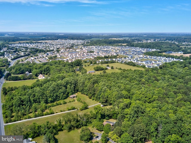 bird's eye view