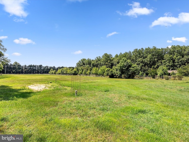 view of yard with a rural view