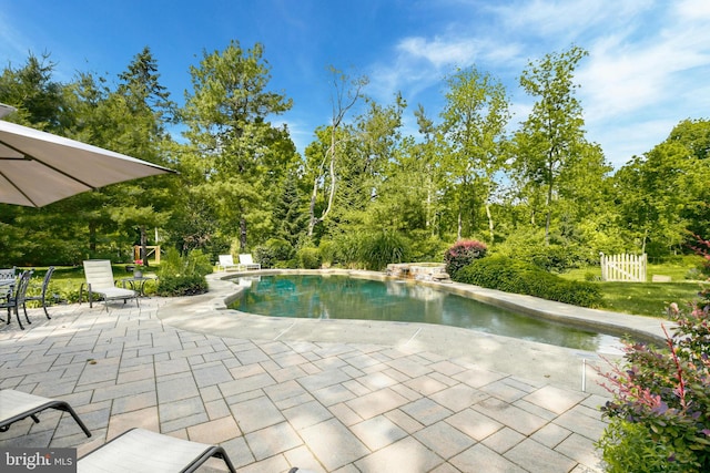 view of swimming pool with a patio