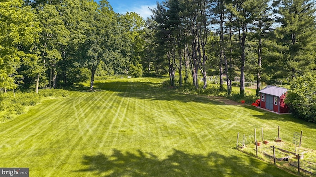 view of yard with an outdoor structure