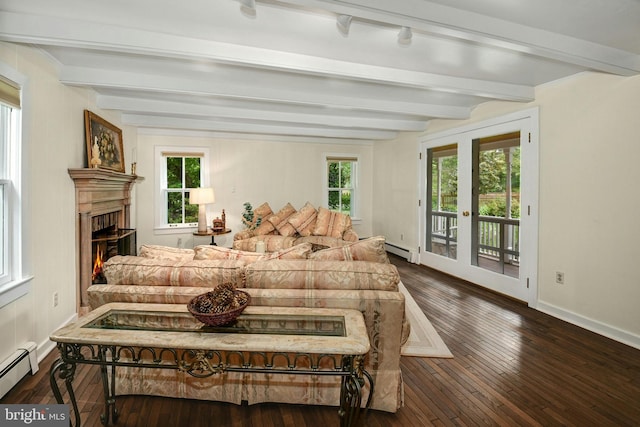 living room featuring beam ceiling, a wealth of natural light, and dark wood-type flooring