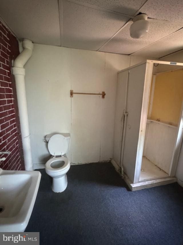 bathroom featuring toilet and a shower