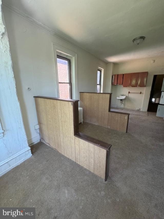 kitchen featuring carpet and radiator