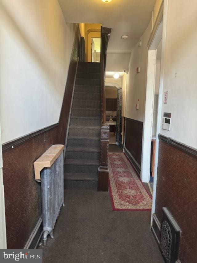 staircase with carpet flooring