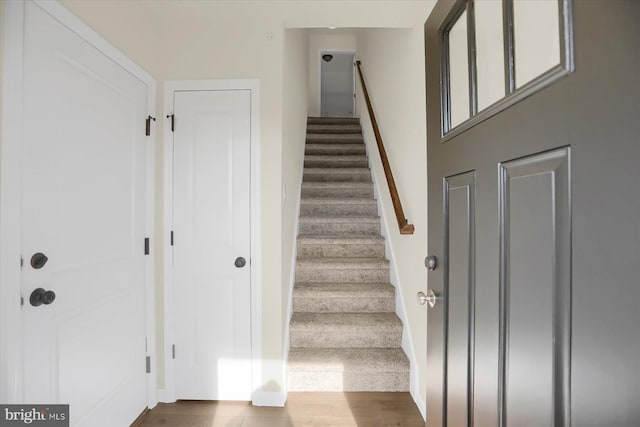 staircase with wood-type flooring