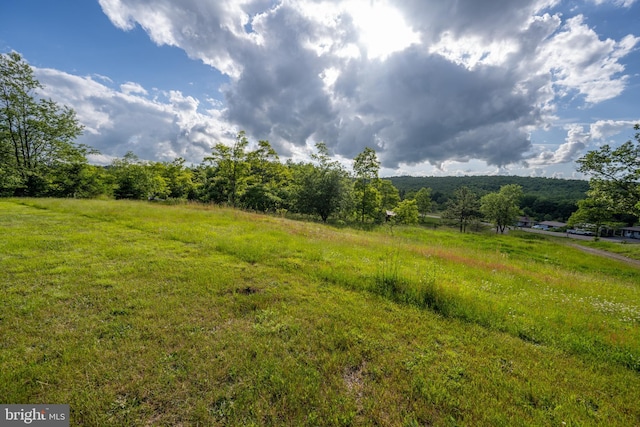 view of local wilderness featuring a rural view