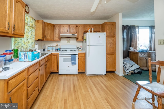 kitchen with light wood-type flooring, a textured ceiling, and white appliances